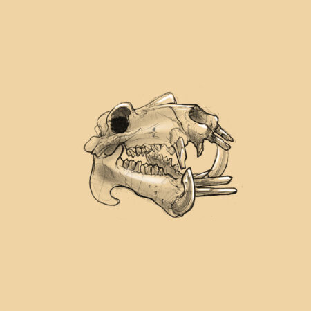 Sketches