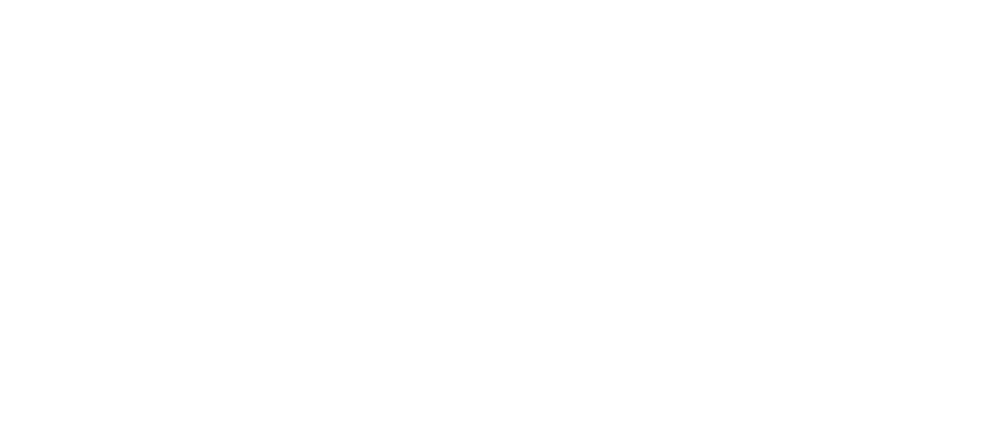 Anamnesis_FlowDiagram